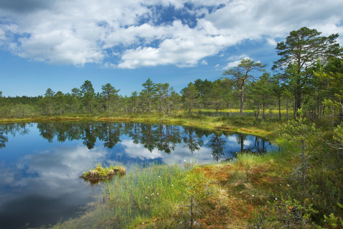 Благодаря важности качества окружающей среды, Эстония является одним из самых популярных туристических направлений