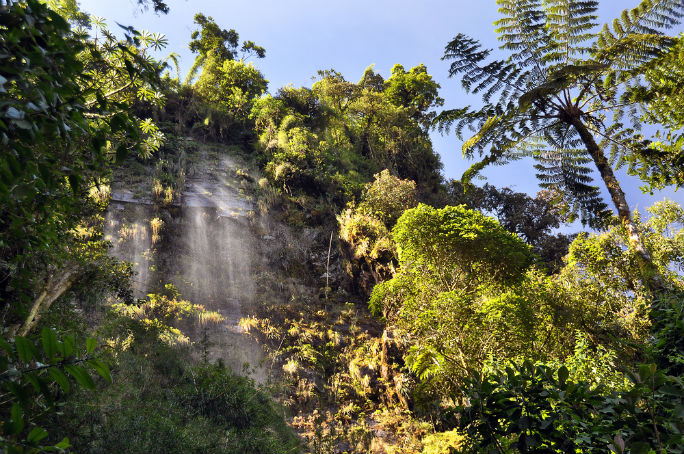 Десятки национальных парков, впечатляющие водопады и плантации зеленого кофе - по крайней мере, для этих нескольких вещей, стоит посетить эту южноамериканскую страну